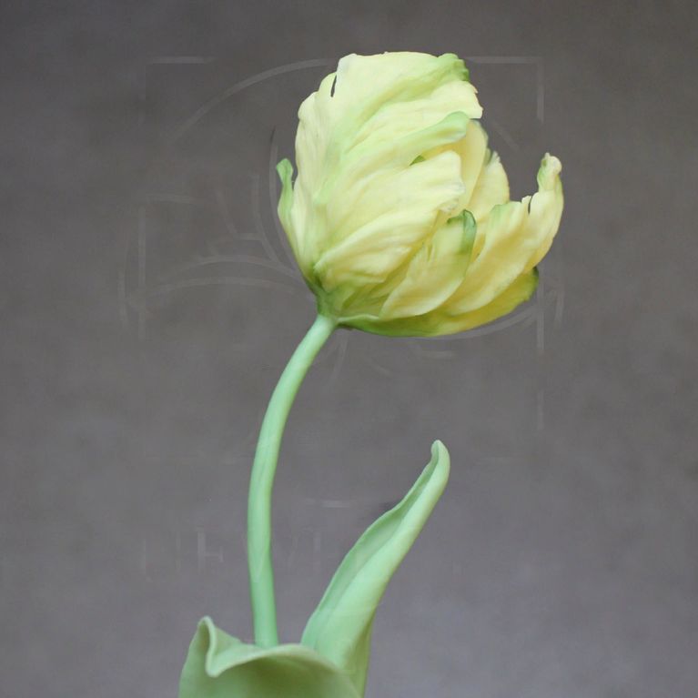 Керамические тюльпаны из полимерной глины