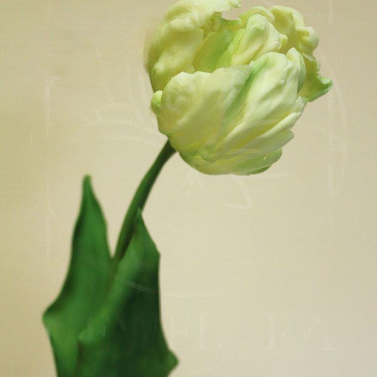 Керамические тюльпаны из полимерной глины