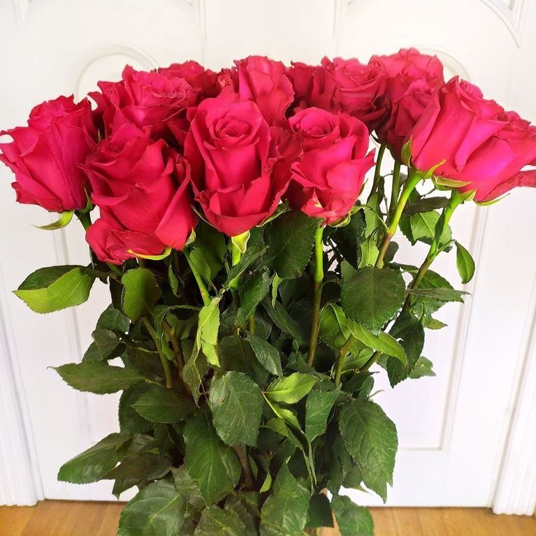 Букет 25 ярко розовых роз высотой 110см