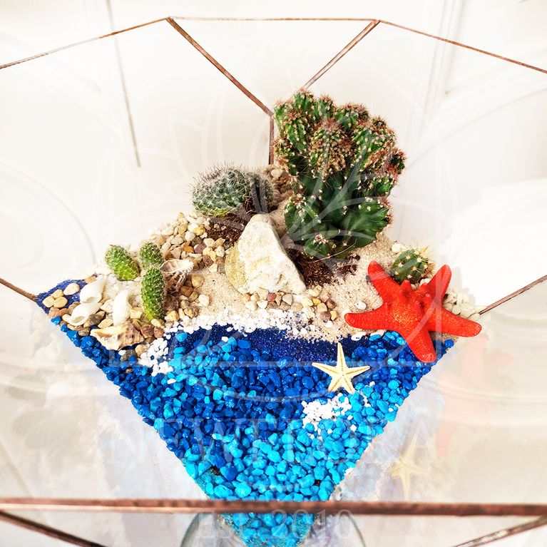 Флорариум на морскую тематику с кактусами