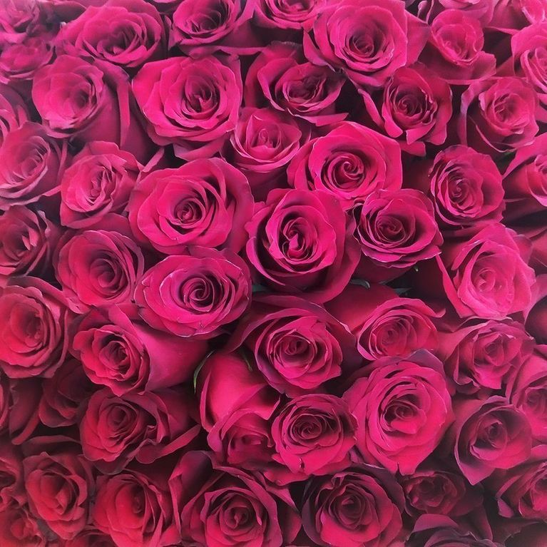 Букет 101 бордовая роза Explorer (80см) premium