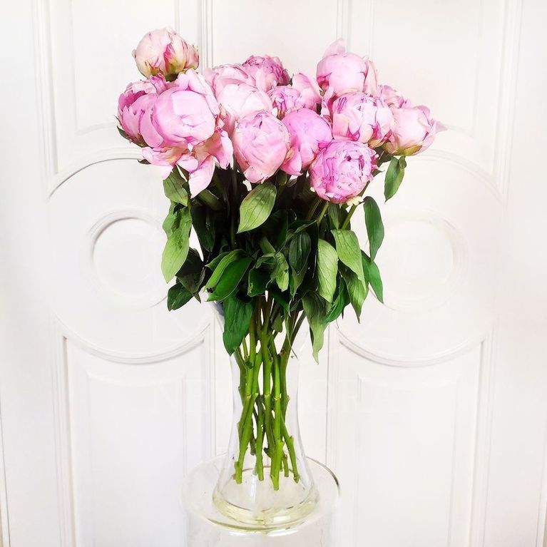 Букет 15 крупных розовых пионов