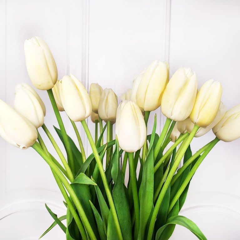 Букет 25 белых тюльпанов Maureen (40-50см)