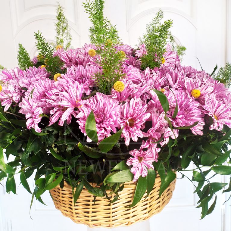 Корзина цветов с хризантемами, краспедией и рускусом (60×35см)