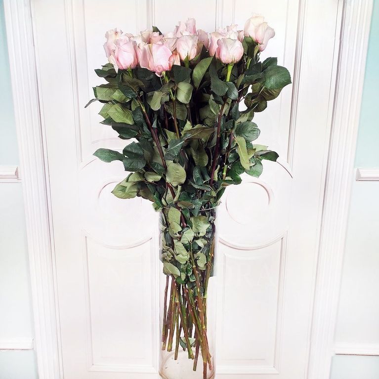 Букет 25 нежно розовых роз высотой 100см (большой бутон)