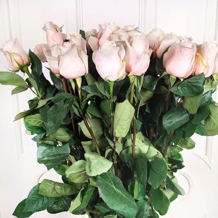 Букет 25 нежно розовых роз высотой 110см
