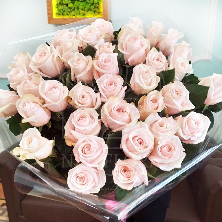Букет 39 нежно-розовых роз высотой 110см (большой бутон)