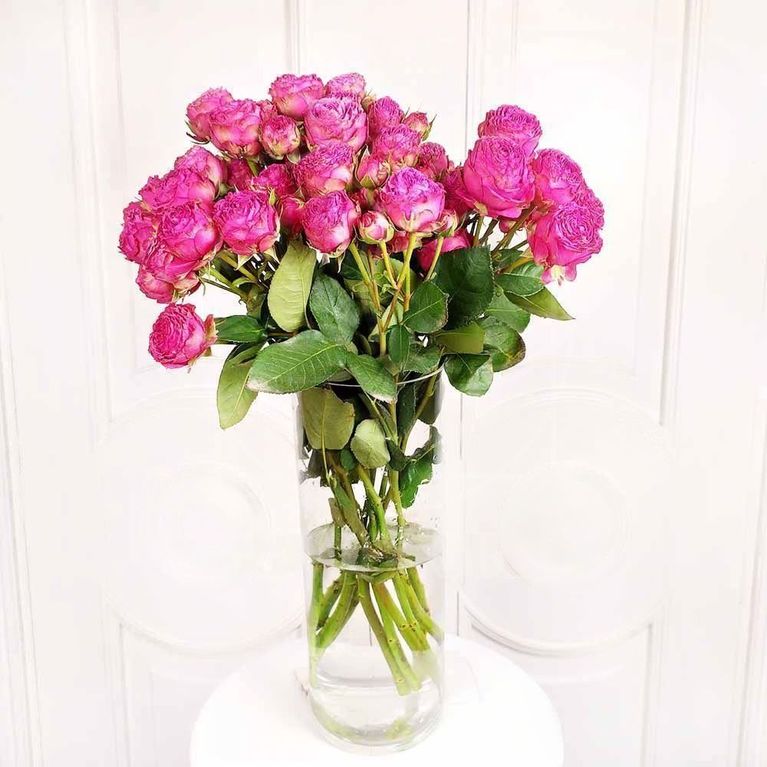 Роза кустовая пионовидная розовая с крупным бутоном (поштучно)
