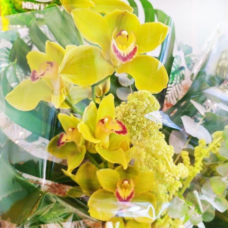 Экзотический букет орхидея с амарантом и монстерой