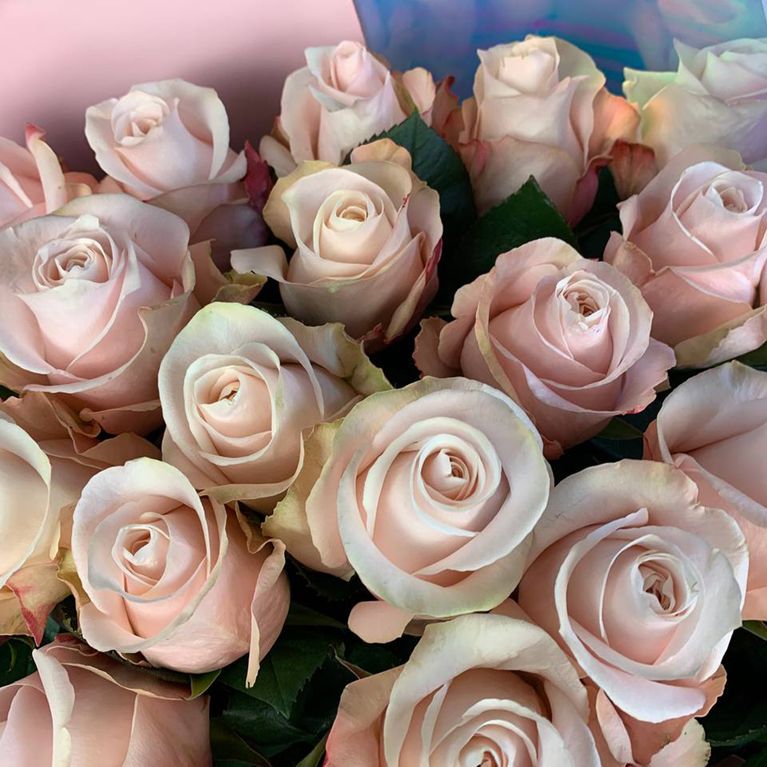 Букет 25 нежно розовых роз 100см