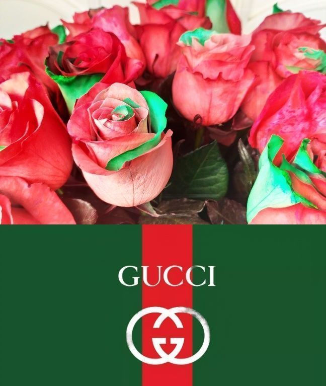 История логотипа Gucci