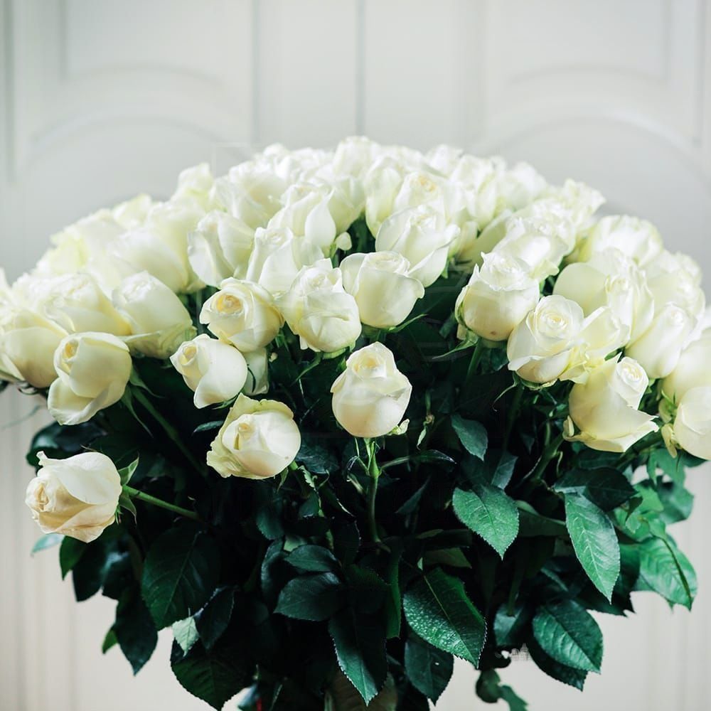 Букет 101 белая роза 60-70см (Голландия)