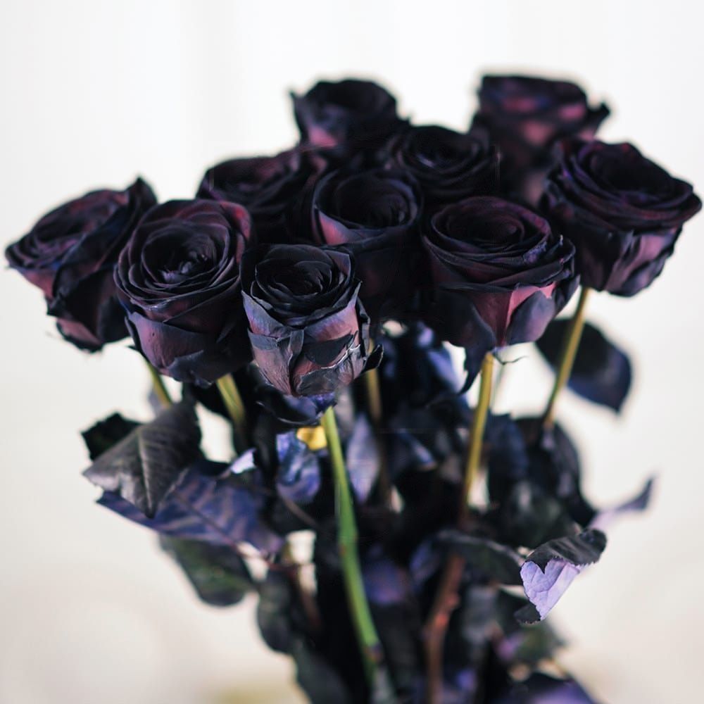 Букет 10 черных роз купить с доставкой в СПб