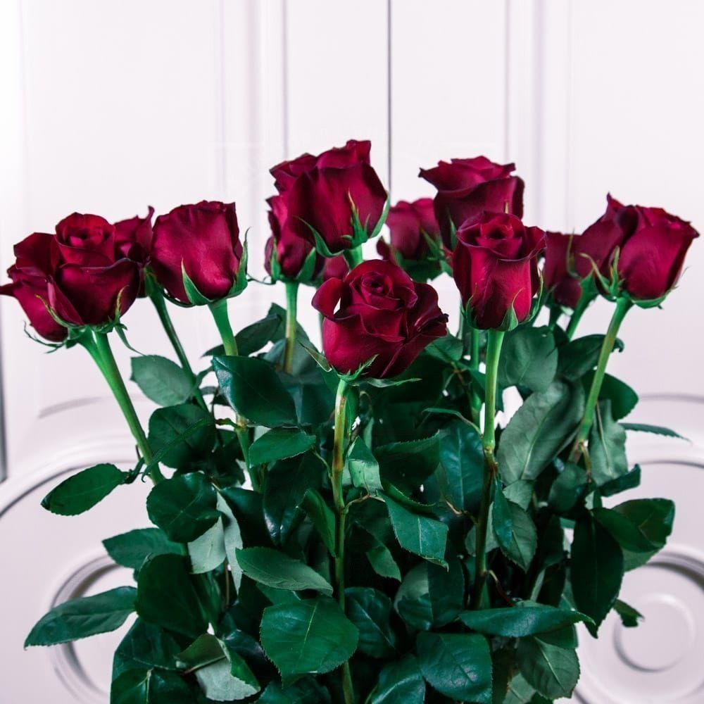 Букет 15 красных роз высотой 100см