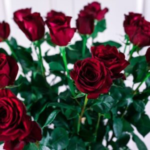 Букет 17 красных роз высотой 140см
