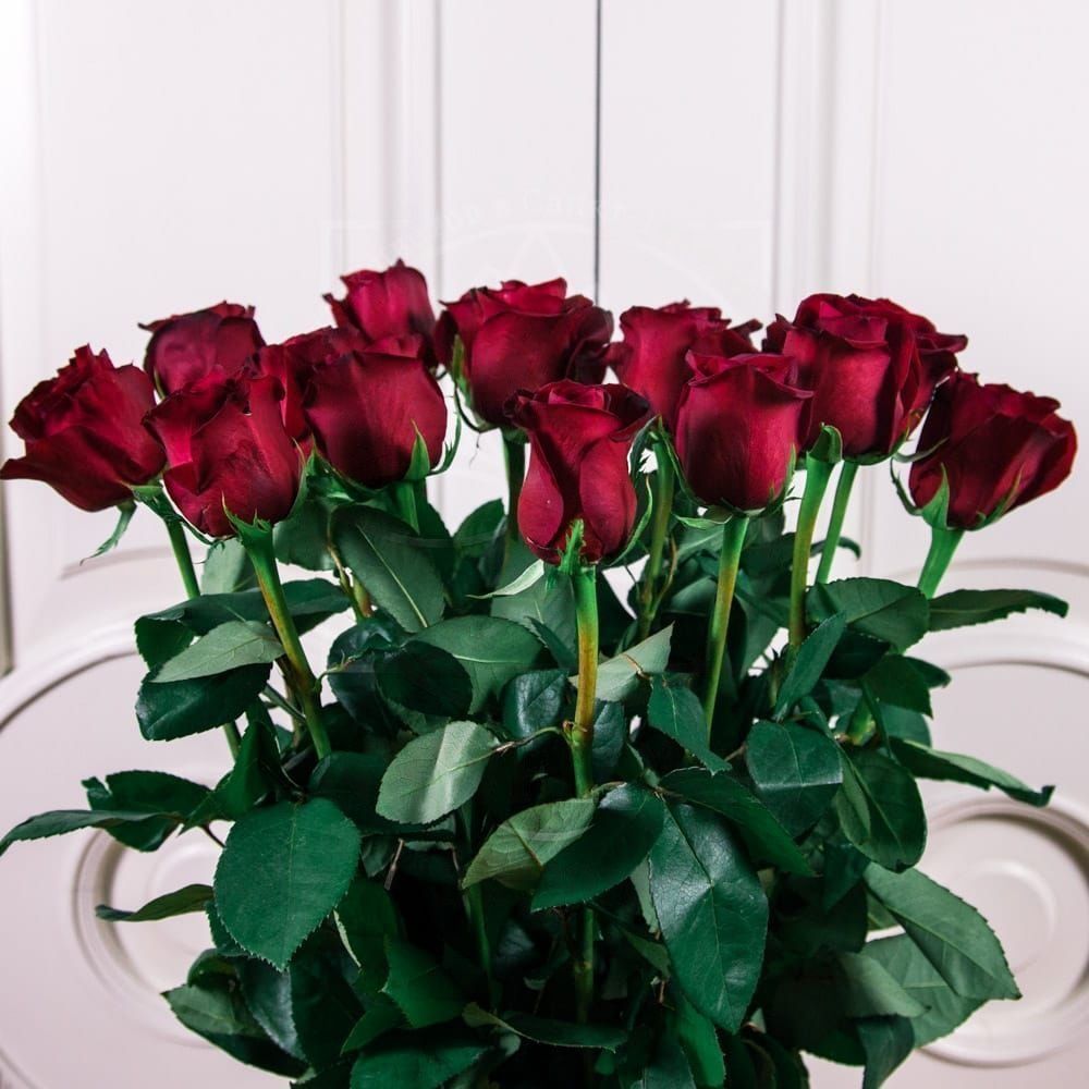 Букет 19 красных роз высотой 100см