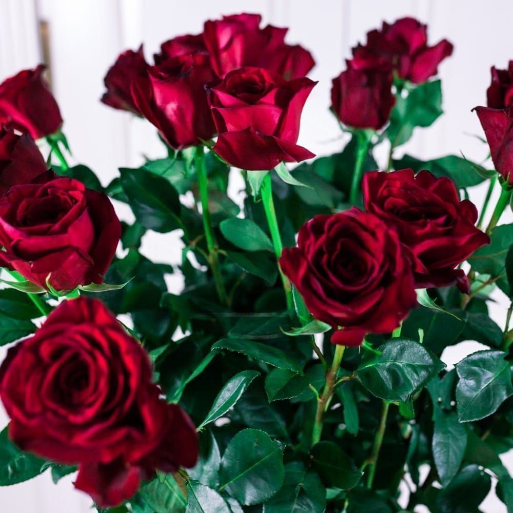 Букет 19 красных роз высотой 140см