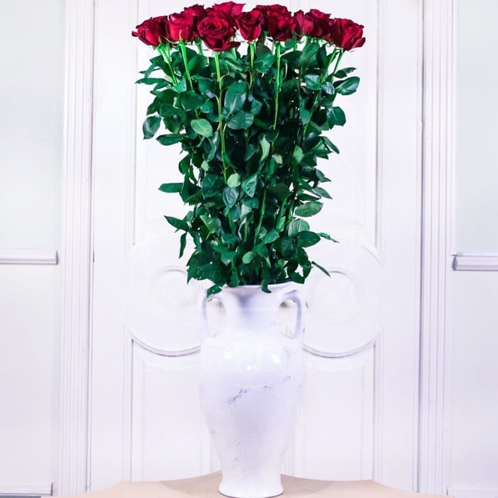 Букет 25 красных роз высотой 140см