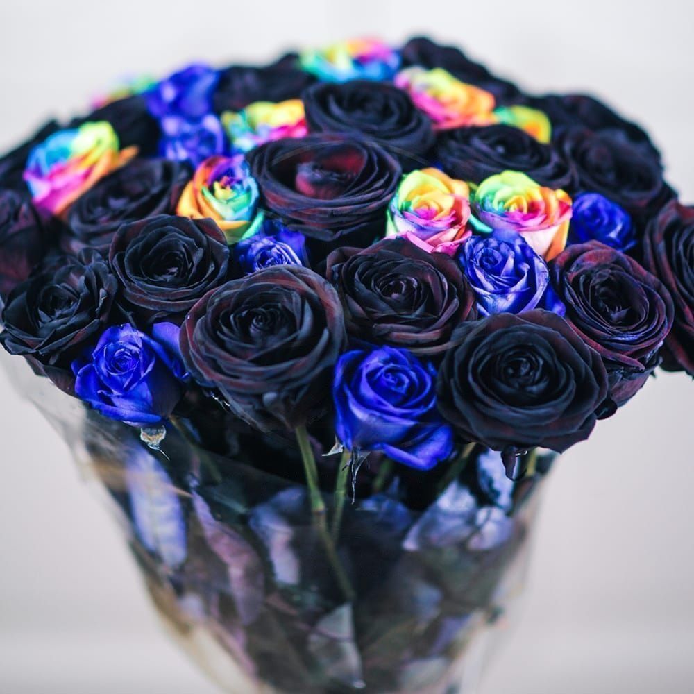 Самый модный цветок – синяя роза