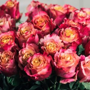 Букет 101 персиковая роза «3D» (Ольга Бузова)