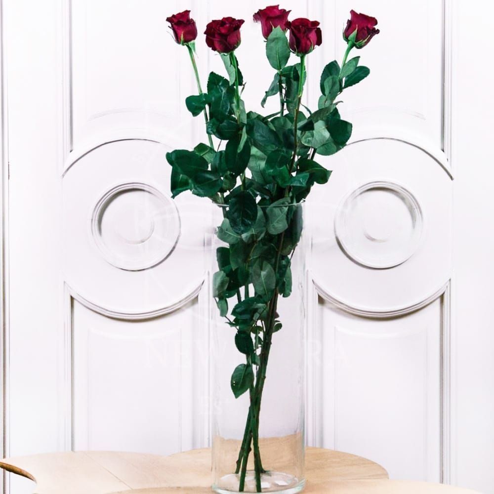 Букет 5 красных роз высотой 100см