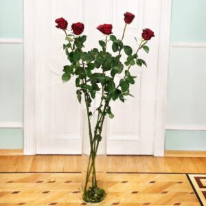 Букет 5 красных роз высотой 160см
