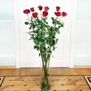 Букет 9 красных роз высотой 160см