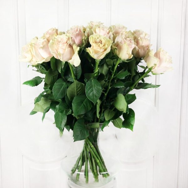 Купить розы в Санкт-Петербурге недорого, с доставкой