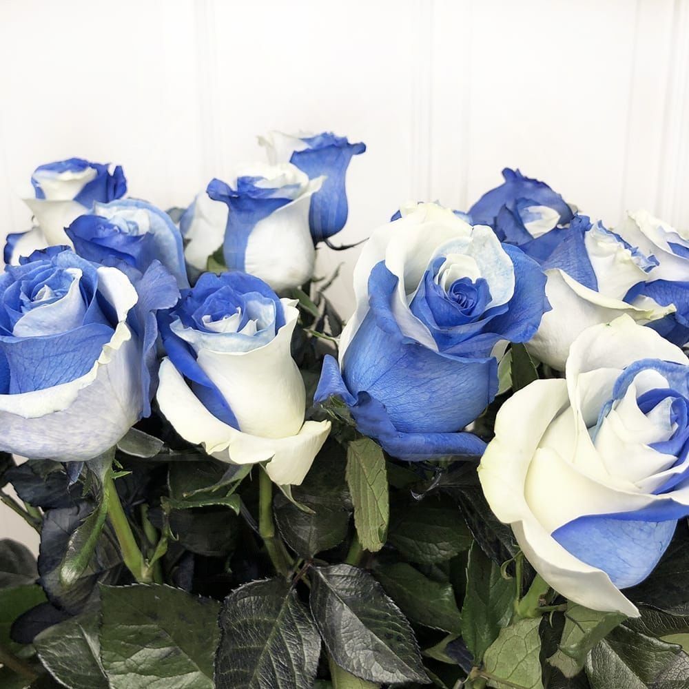 Синие цветы купить в спб цветы с доставкой серпухов недорого
