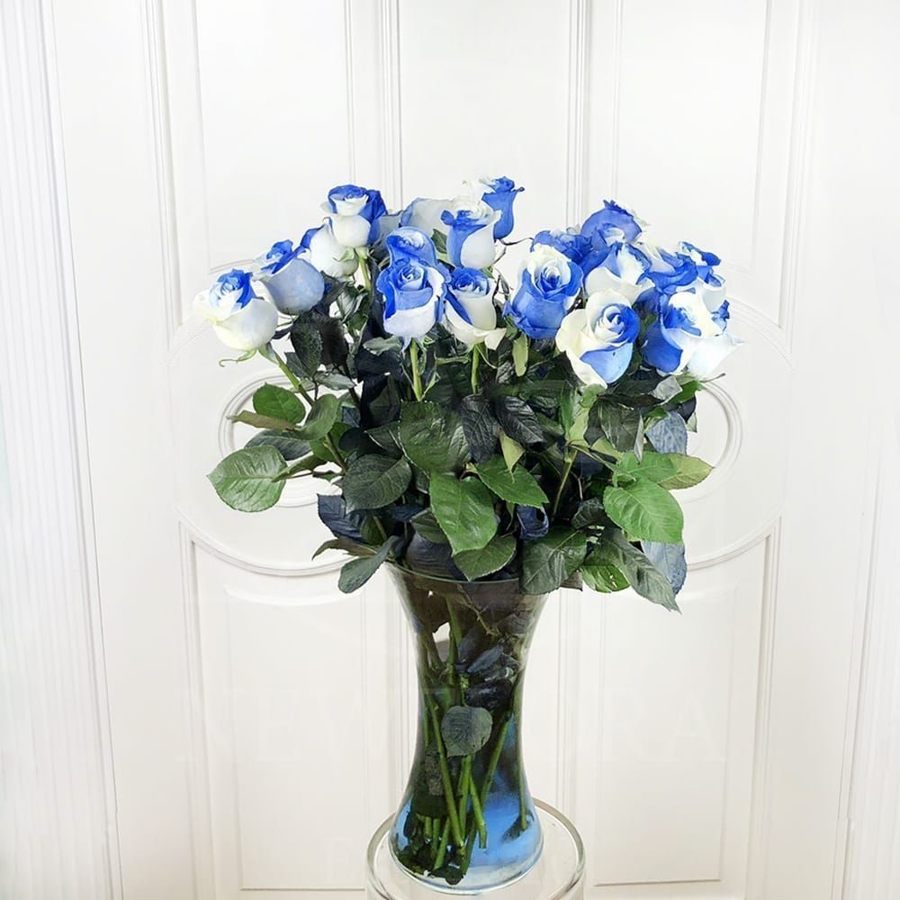 Роза бело-голубая Premium (поштучно)
