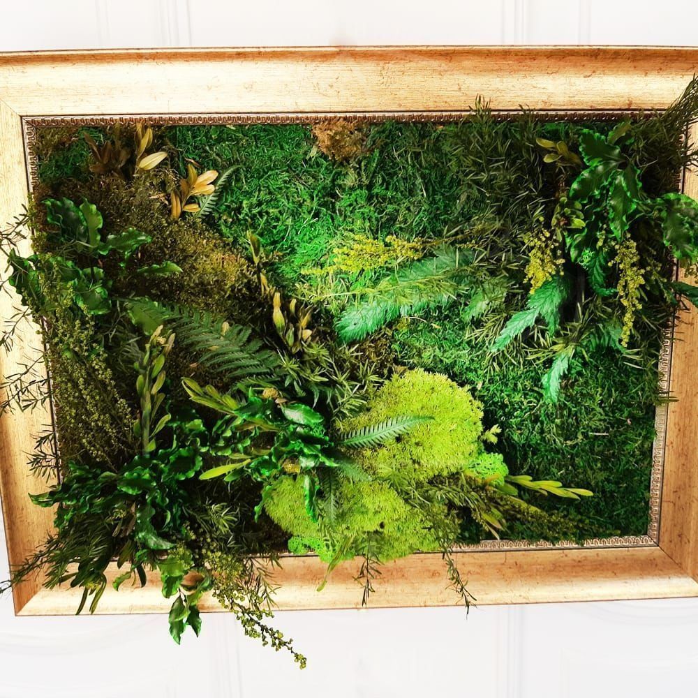 Картина из стабилизированного мха и зелени 30×40см