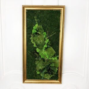 Картина из стабилизированного кочкового мха с зеленью 70×30см