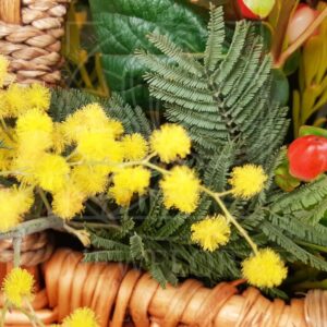 Маленькая корзина цветов с тюльпанами и мимозой