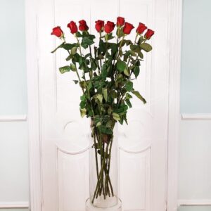 Букет 9 красных роз высотой 120см