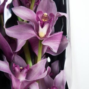 Орхидея цимбидиум сиреневая (80см)