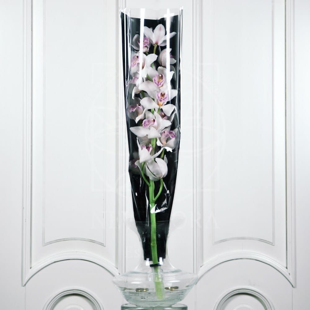 Орхидея цимбидиум белая (80см)