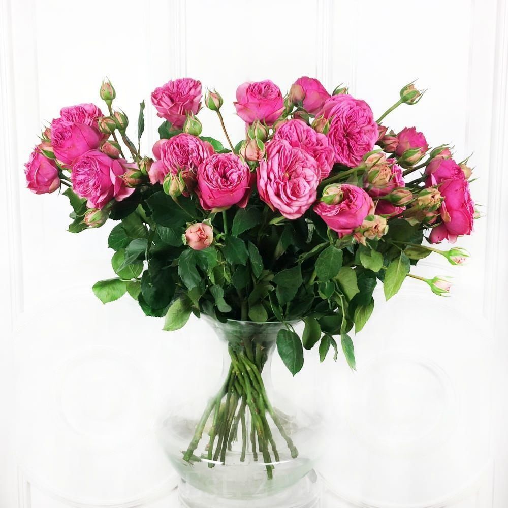 Букет 19 кустовых пионовидных розовых роз
