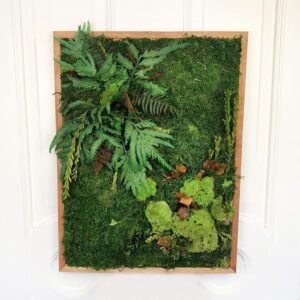 Картина из стабилизированного и сухого мха с зеленью 60×80см