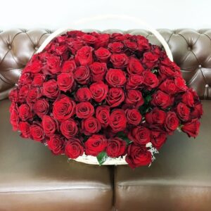 Корзина цветов 151 красная роза с зеленью (Юж. Америка)