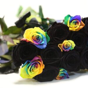 Букет 17 роз черных и радужных