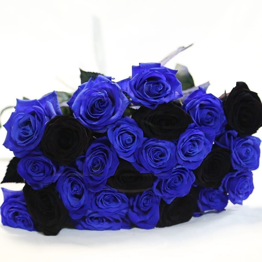 Букет 25 синих и черных роз
