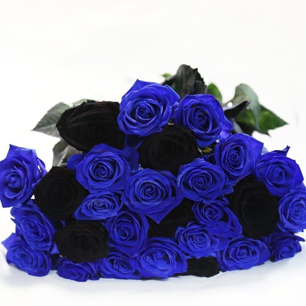 Букет 25 синих и черных роз