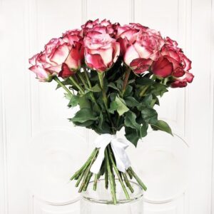 Букет 25 роз с большим бутоном Paloma (50 см)