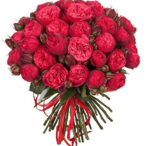 Букет 35 пионовидных красных роз Red Piano