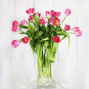 Букет 25 розовых тюльпанов (40-50см)