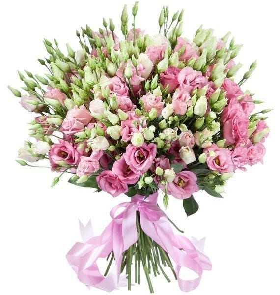 Доставка цветов пушкинский район санкт петербург большие розы купить