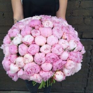 Букет 75 крупных розовых пионов