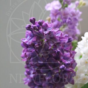 Фарфоровая сирень из полимерной глины (керамика, цвет на выбор)