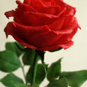 Розы керамические красные из полимерной глины