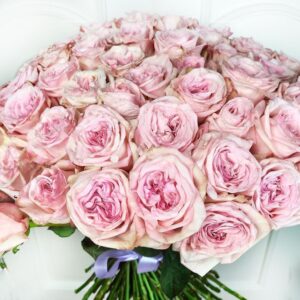 Букет 101 пионовидная ароматная роза Пинк Охара (Pink Ohara)